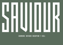 Load image into Gallery viewer, Transformation T-Shirt Collection - Saviour